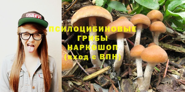 молекула духа Лиски