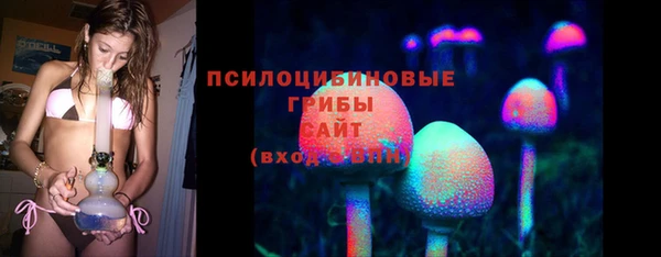 молекула духа Лиски